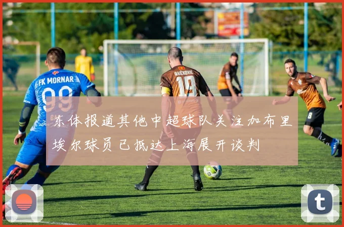 东体报道其他中超球队关注加布里埃尔球员已抵达上海展开谈判
