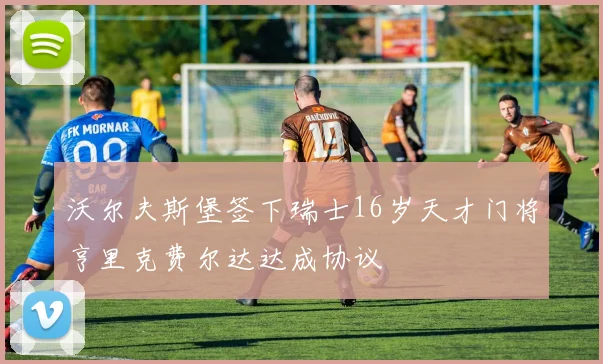 沃尔夫斯堡签下瑞士16岁天才门将亨里克费尔达达成协议