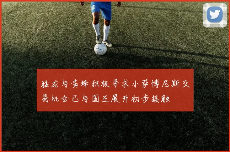 猛龙与黄蜂积极寻求小萨博尼斯交易机会已与国王展开初步接触