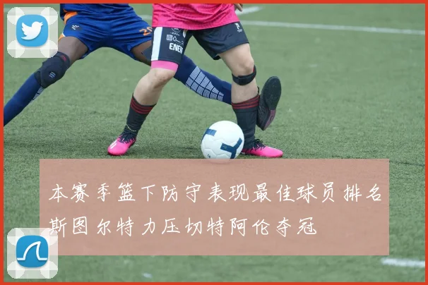 本赛季篮下防守表现最佳球员排名斯图尔特力压切特阿伦夺冠