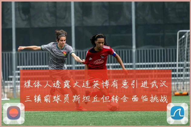 媒体人透露大连英博有意引进武汉三镇前球员斯坦丘但转会面临挑战